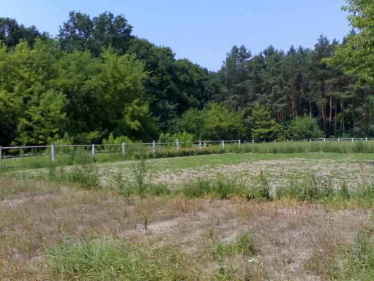 Андрушівка з panoramio.com - Андрушевка