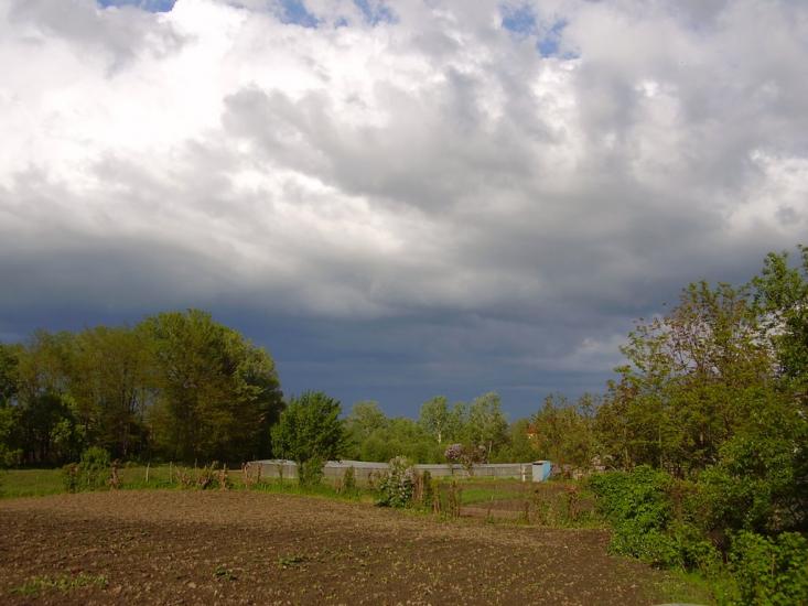 Тарасівці з panoramio.com - Тарасівці