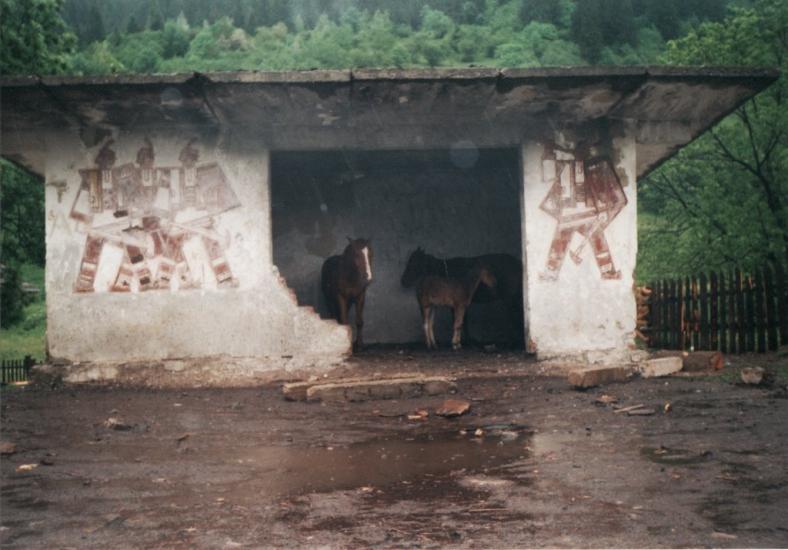 Синевир з panoramio.com - Синевир
