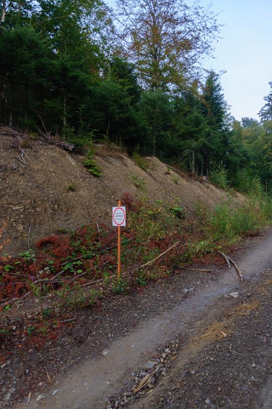 Костринська Розтока з panoramio.com - Костринська Розтока