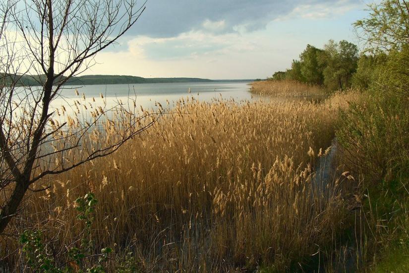 Липці з panoramio.com - Липцы