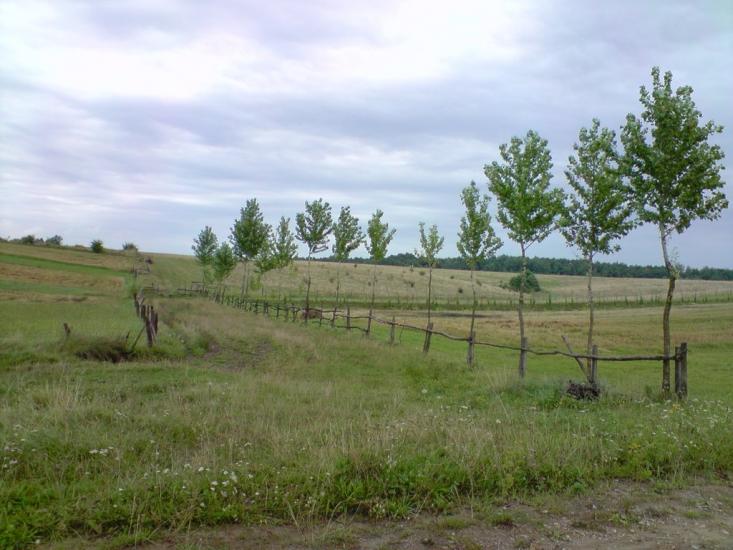 Болозів з panoramio.com - Болозів