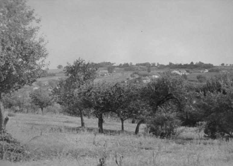 Велика Шапківка з panoramio.com - Великая Шапковка