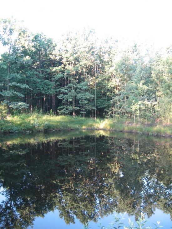 Нова Борова з panoramio.com - Нова Борова