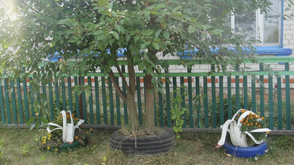 Карповичі з panoramio.com - Карповичи