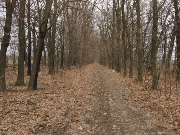 Ярмолинці з panoramio.com - Ярмолинці