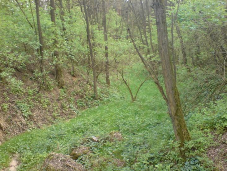 Бохни з panoramio.com - Бохни