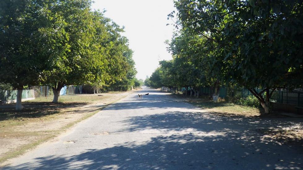 Чернишове з panoramio.com - Чернишове