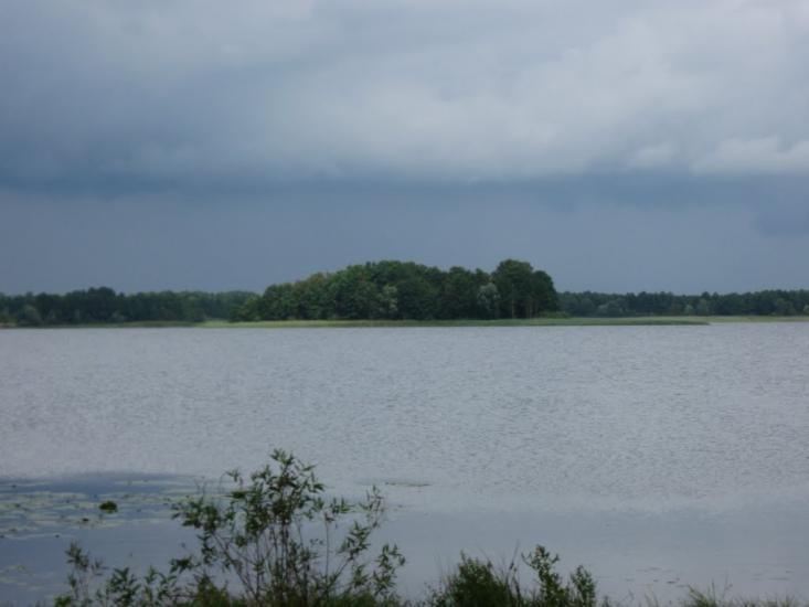 Мельники з panoramio.com - Мельники