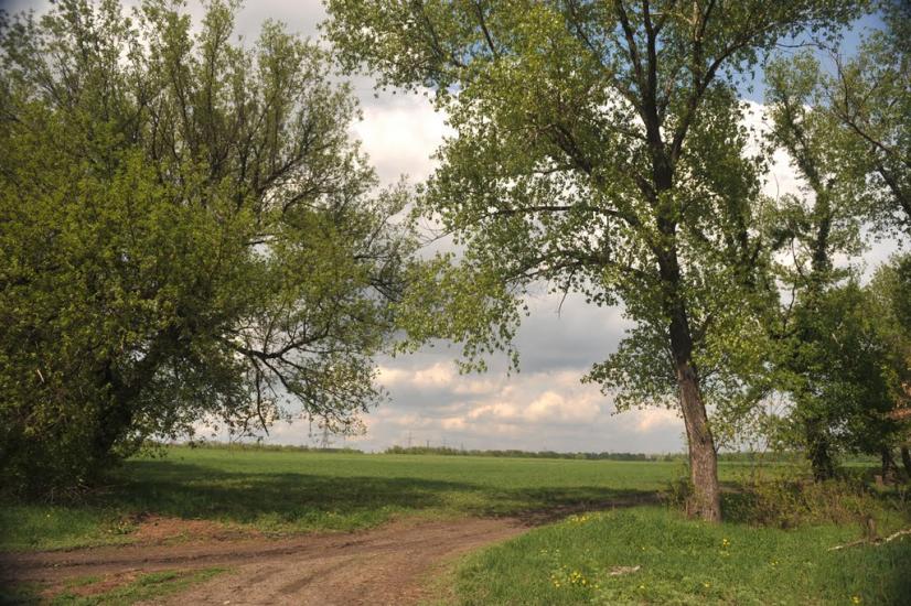 Піски з panoramio.com - Піски