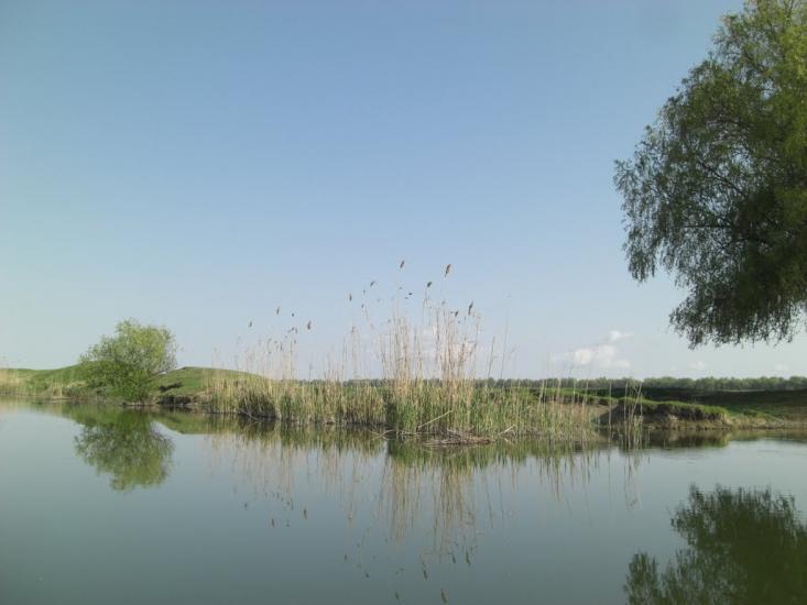 Стара Некрасівка з panoramio.com - Стара Некрасівка