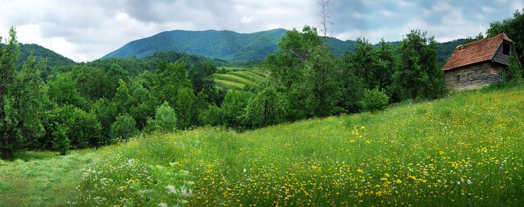 Буківцьово з panoramio.com - Буковцево