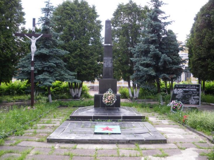 Нова Борова з panoramio.com - Новая Боровая