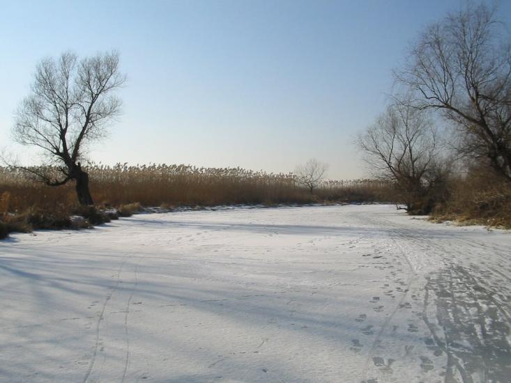 Маяки з panoramio.com - Маяки
