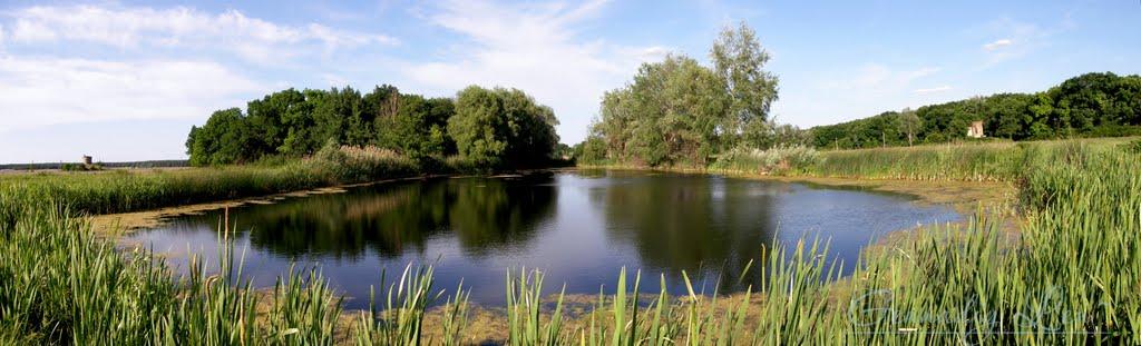 Донецьке з panoramio.com - Донецкое