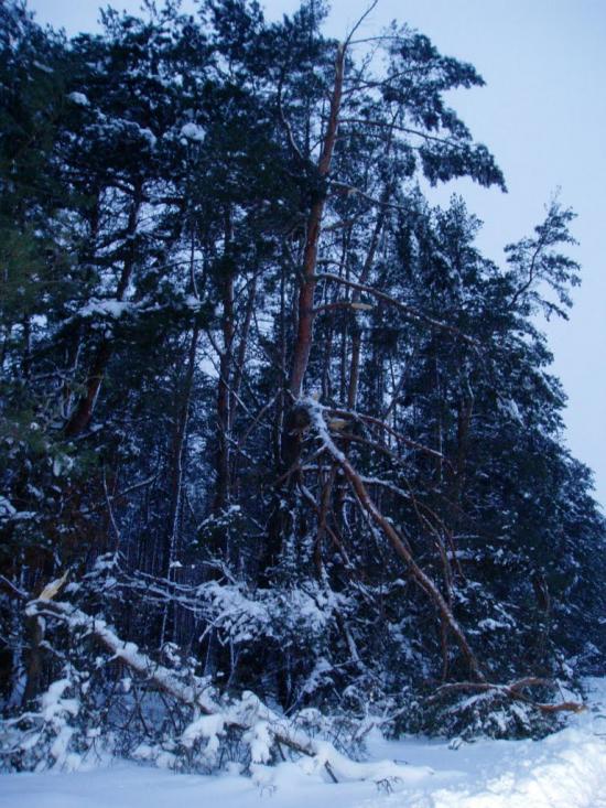 Проців з panoramio.com - Процев