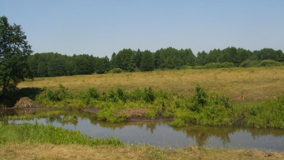 Машеве з panoramio.com - Машево