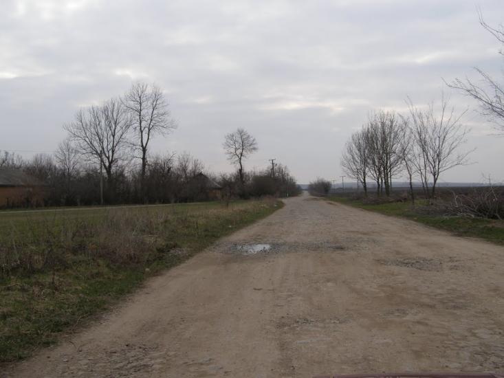 Червоний Кут з panoramio.com - Червоний Кут