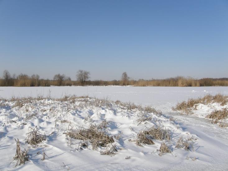 Оржиця з panoramio.com - Оржиця