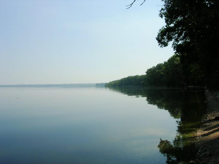 Зелений Гай з panoramio.com - Зеленый Гай