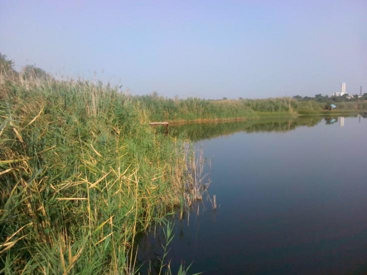 Микільське з panoramio.com - Никольское