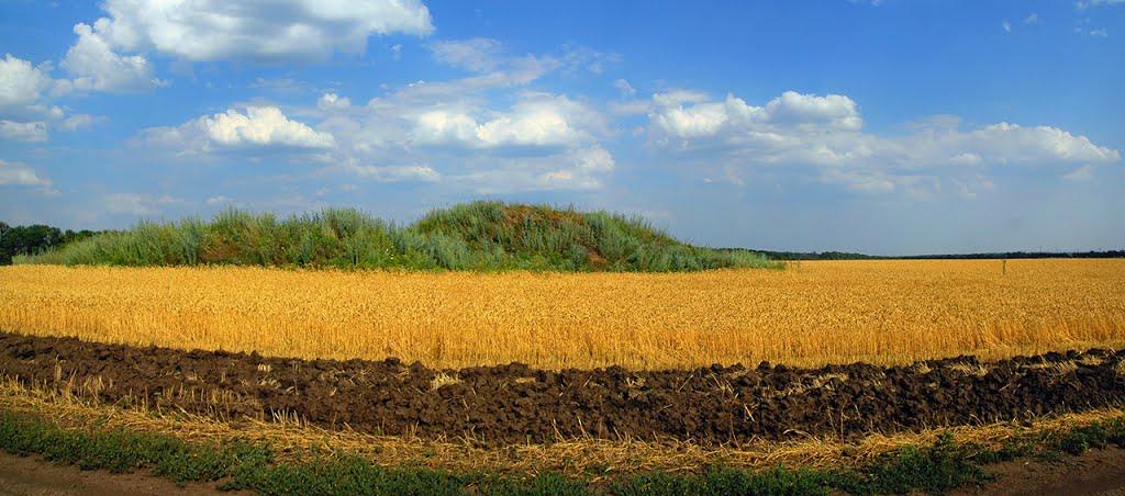 Весела Долина з panoramio.com - Весела Долина