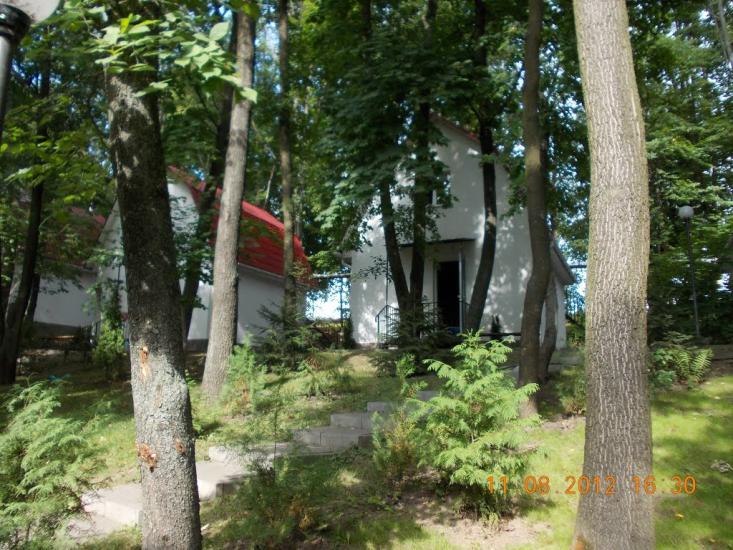 Цвіжин з panoramio.com - Цвижин