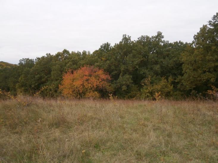 Головківка з panoramio.com - Головківка