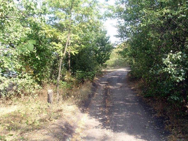 Зелений Гай з panoramio.com - Зеленый Гай