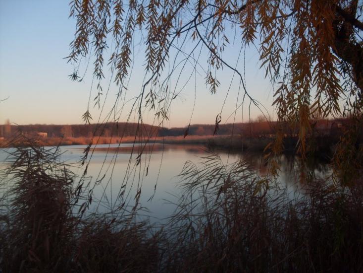 Златоустівка з panoramio.com - Златоустівка