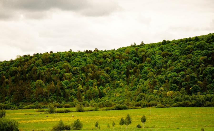 Кальне з panoramio.com - Кальное