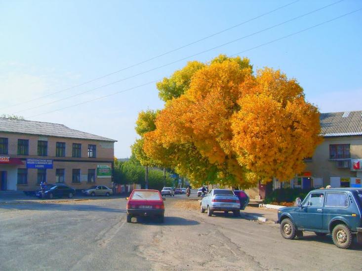Доманівка з panoramio.com - Доманівка