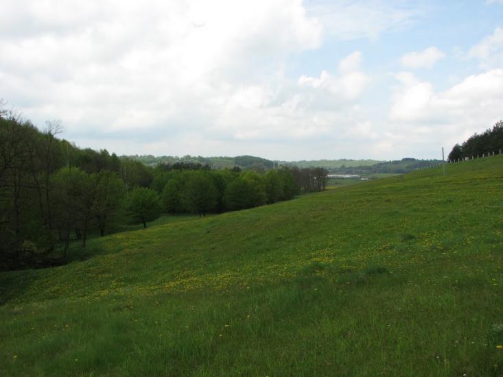 Ступно з panoramio.com - Ступно