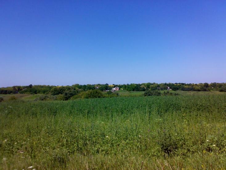 Троянове з panoramio.com - Троянове