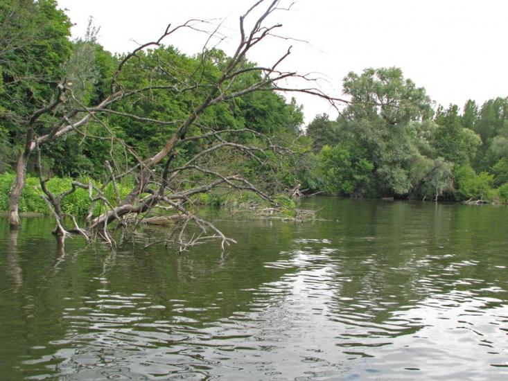 Остап'є з panoramio.com - Ostapye