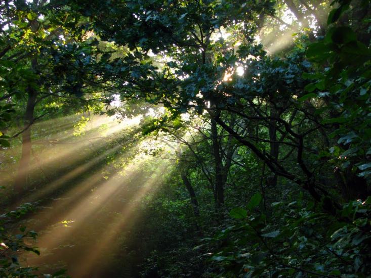 Завій з panoramio.com - Завой