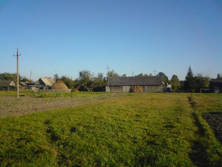 Лісове з panoramio.com - Лісове