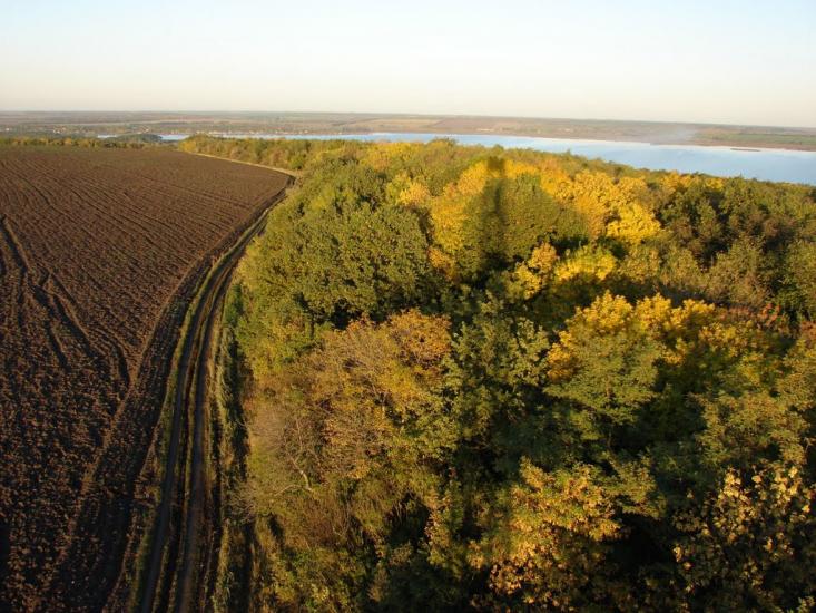 Борова з panoramio.com - Борова