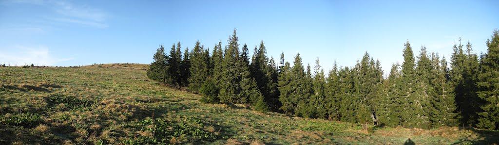 Буркут з panoramio.com - Буркут