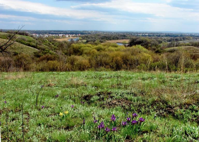 Спаське з panoramio.com - Спасское