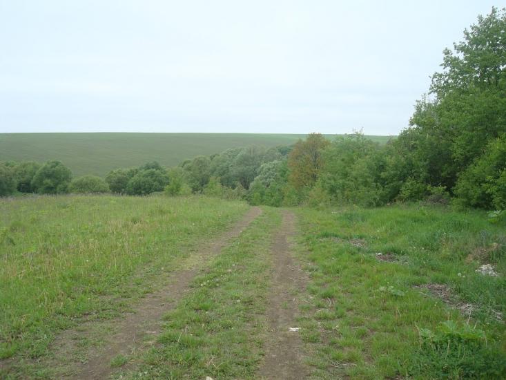 Шаровечка з panoramio.com - Sharovechka