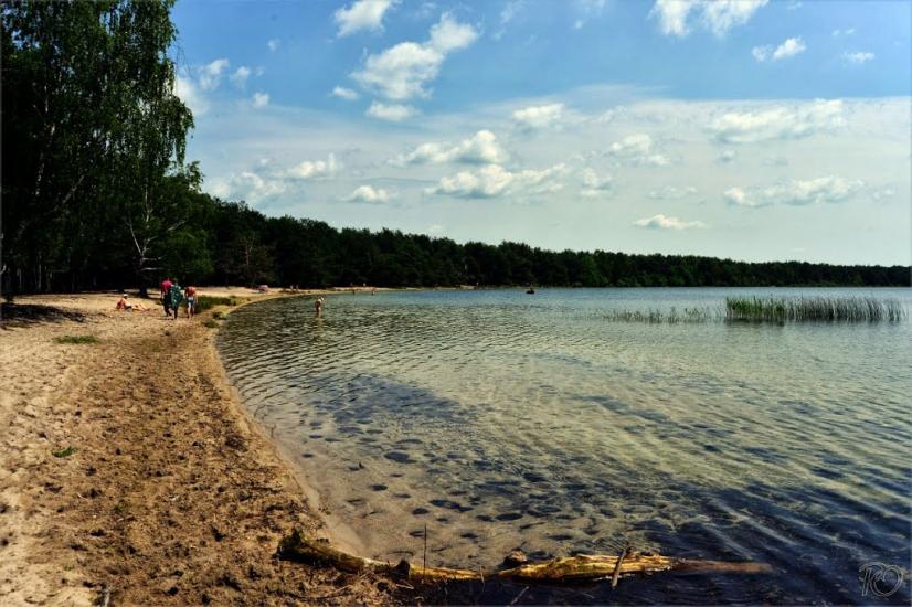 Мельники з panoramio.com - Мельники