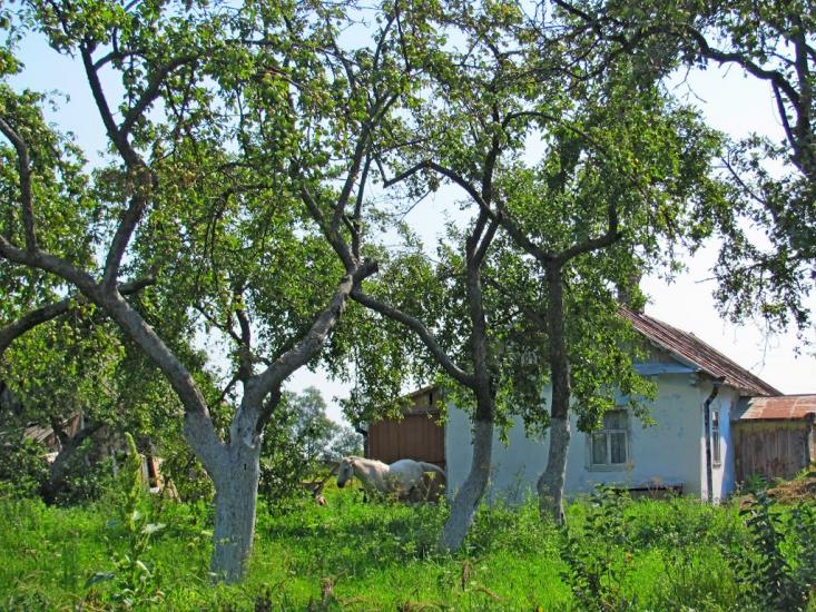 Кустин з panoramio.com - Кустин