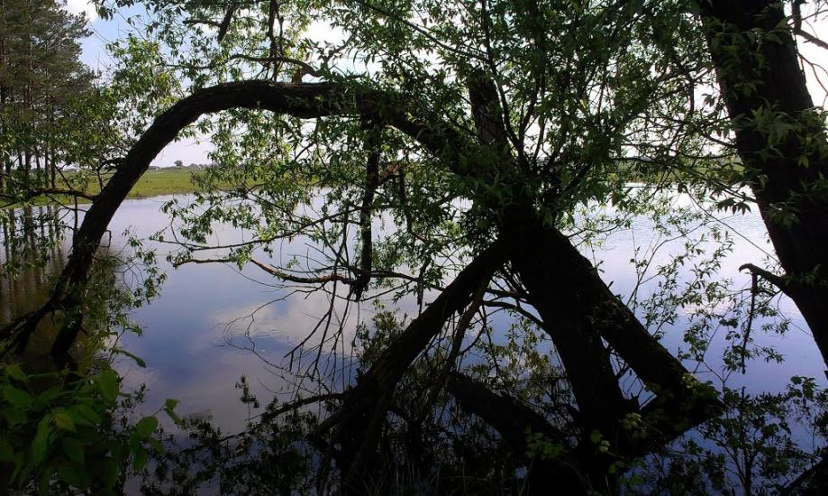 Козлин з panoramio.com - Козлин