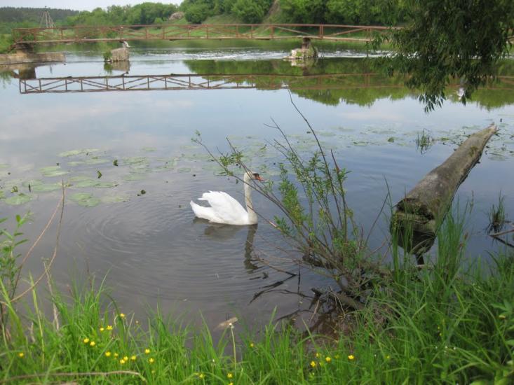 Клубівка з panoramio.com - Клубівка