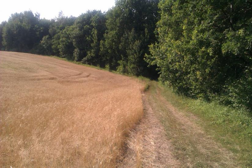 Заріцьк з panoramio.com - Зарецк