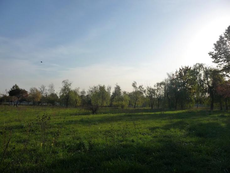 Бабаї з panoramio.com - Бабаи