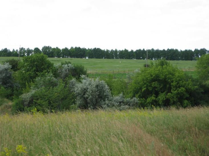 Вільшани з panoramio.com - Ольшаны
