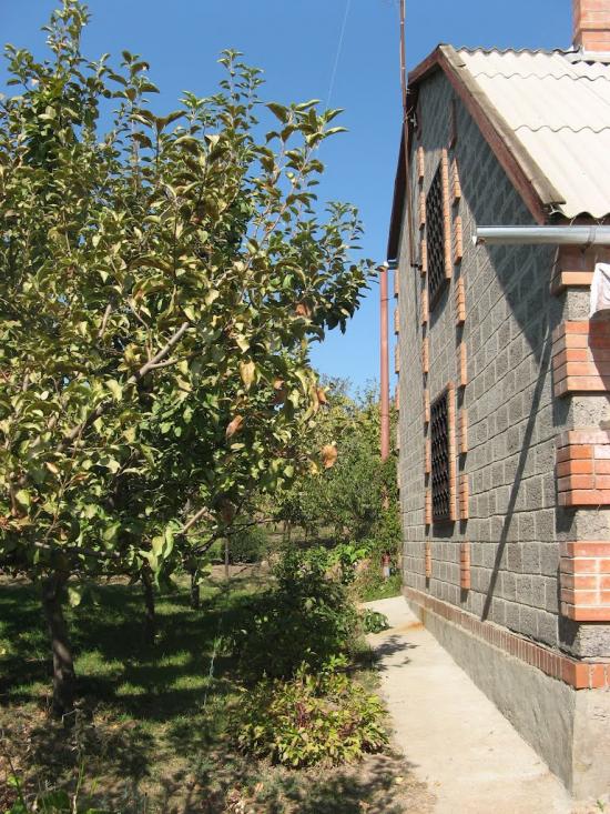 Червонодніпровка з panoramio.com - Червоноднепровка