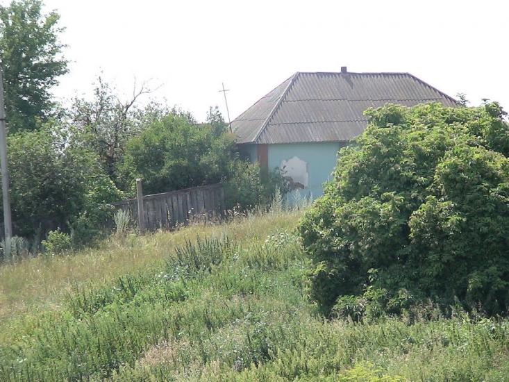 Литвиновичі з panoramio.com - Литвиновичи